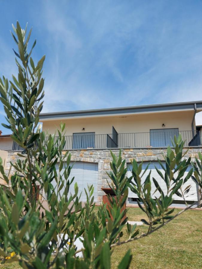 Apartmaji Aucin - Brda Kojsko Exterior foto